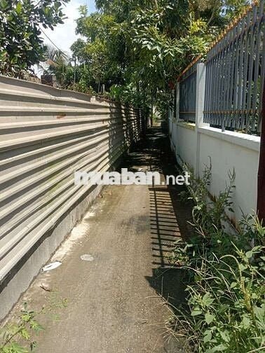 Đất xã TQT 128.5m2 có 100m2 đất ở