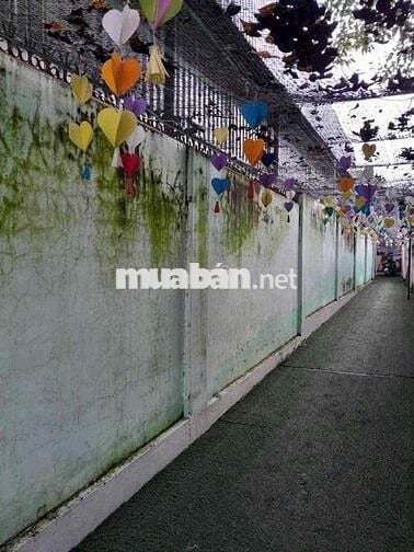 Cho thuê mặt bằng 530m2, đường Nguyễn Bảo Đức, P.Tam Hiệp, Biên Hoà.
