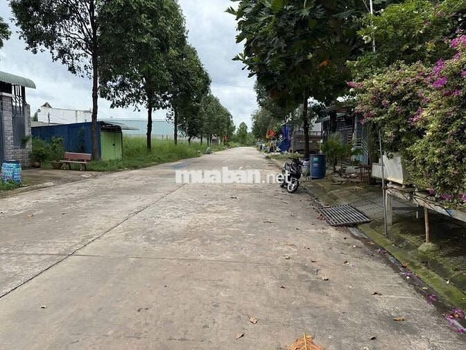Bán nhanh đất 5x30m full thổ tại Thới Hòa, Bến Cát – Giá tốt 1,8 tỷ