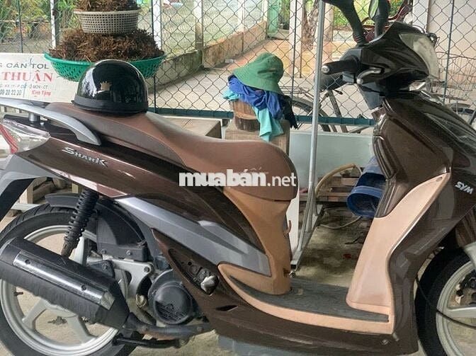 Xe bao êm ấm bs65