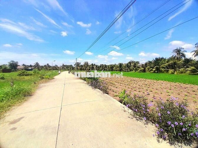 Chỉ 295tr sở hữu 55m2 đất thổ đường ô tô tránh nhau
