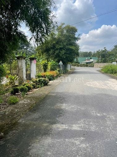 🏡 MỘT LÔ DUY NHẤT ĐẤT MẶT TIỀN ĐƯỜNG NHỰA 18M – BÀU BÀNG, BÌNH DƯƠNG 