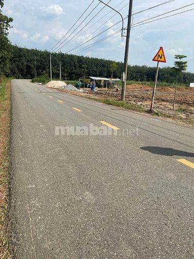 🏡 MỘT LÔ DUY NHẤT ĐẤT MẶT TIỀN ĐƯỜNG NHỰA 18M – BÀU BÀNG, BÌNH DƯƠNG 