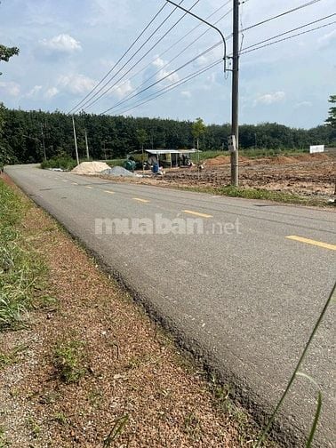 🏡 MỘT LÔ DUY NHẤT ĐẤT MẶT TIỀN ĐƯỜNG NHỰA 18M – BÀU BÀNG, BÌNH DƯƠNG 