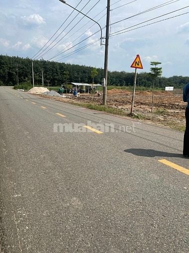 🏡 MỘT LÔ DUY NHẤT ĐẤT MẶT TIỀN ĐƯỜNG NHỰA 18M – BÀU BÀNG, BÌNH DƯƠNG 