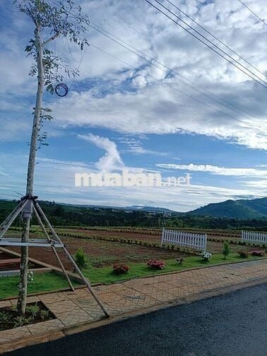 THANH LÝ GẤP ĐẤT THỔ CƯ MT QUỐC LỘ 20 KDC HIỆN HỮU, DT300M2/650 TRIỆU