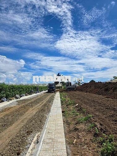 🌿 Cơ hội vàng sở hữu lô đất 447m² ngay thị trấn Thạnh Mỹ – trung tâm Đ