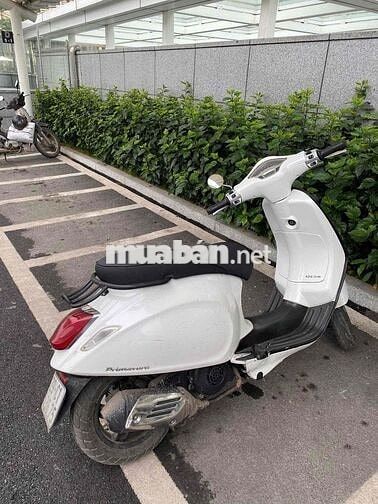 Ban xe piagio Primavera Trắng