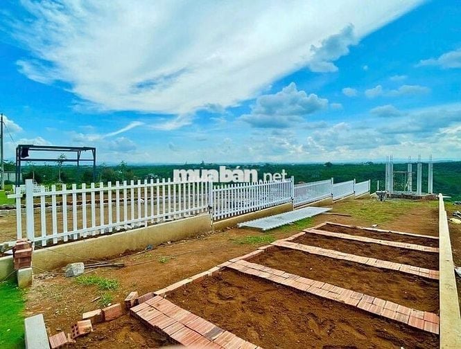 Nền BT 10*30, DiLinh Lâm Đồng cách QL20 2km. Cách CT DG-LK 3km. 656 tr