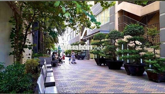 Cho thuê Căn Hộ 2pn,Chung cư Cộng Hòa PLAZA, Phường 12 , Quận Tân Bình