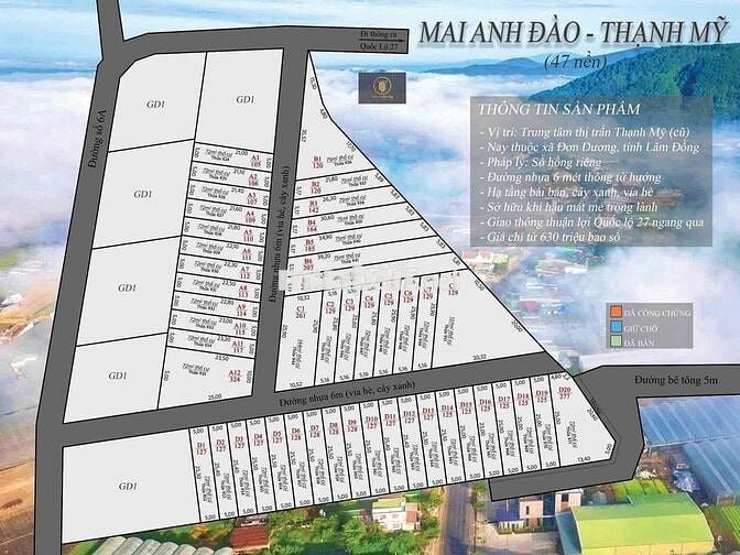 🌿 Cơ hội vàng sở hữu lô đất 447m² ngay thị trấn Thạnh Mỹ – trung tâm Đ