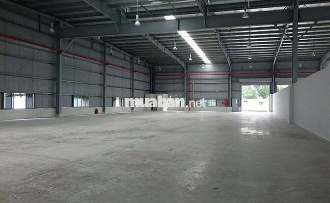 Cho Thuê Kho Mới Đẹp 1000M2 Chứa Hàng Mặt Tiền Bình Chánh Giá Rẻ