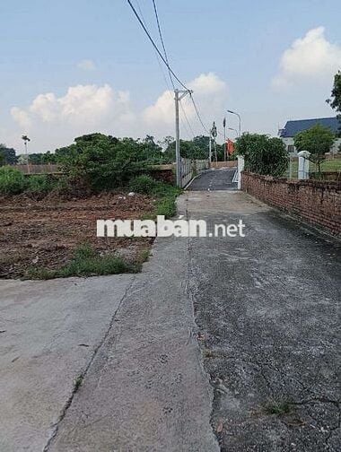 Bán Đất - Phú Nghĩa(Minh phú) - 91M2 - 1,5 tỷ - Đường Rộng