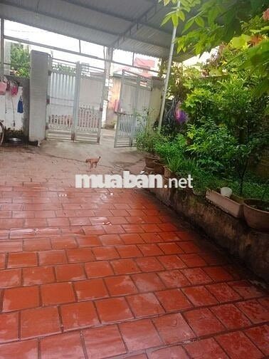 Bán đất thổ cư 80m2, mặt tiền 5m đẹp tại tiền phong, mê linh, hà nội