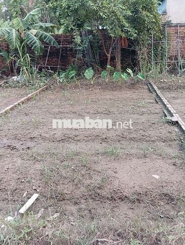 Bán Đất - Lạc Nông(Mai Đình) - 46M2 Full Thổ Cư - 1,7 Tỷ