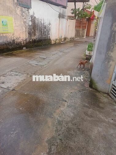Bán đất thổ cư 80m2, mặt tiền 5m đẹp tại tiền phong, mê linh, hà nội