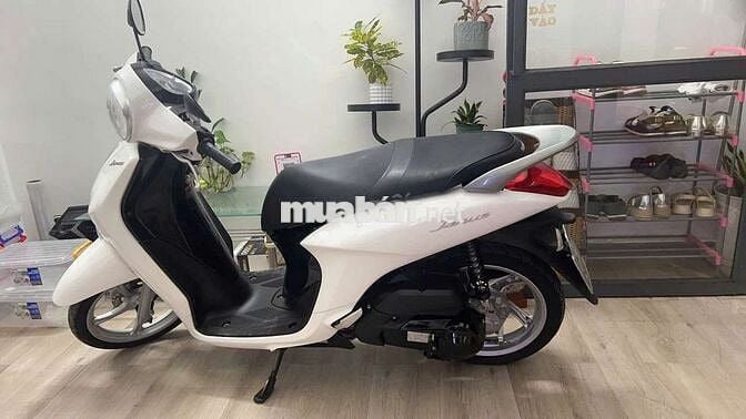 Xe Janus trắng hơn Ngọc Trinh