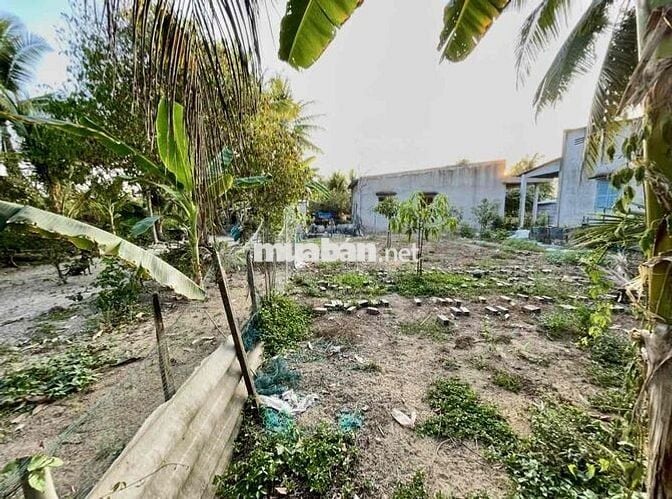 Cần bán đất vườn trồng cây lâu năm – vị trí đẹp tại Mỹ Tho 🌱 👉 Diện t