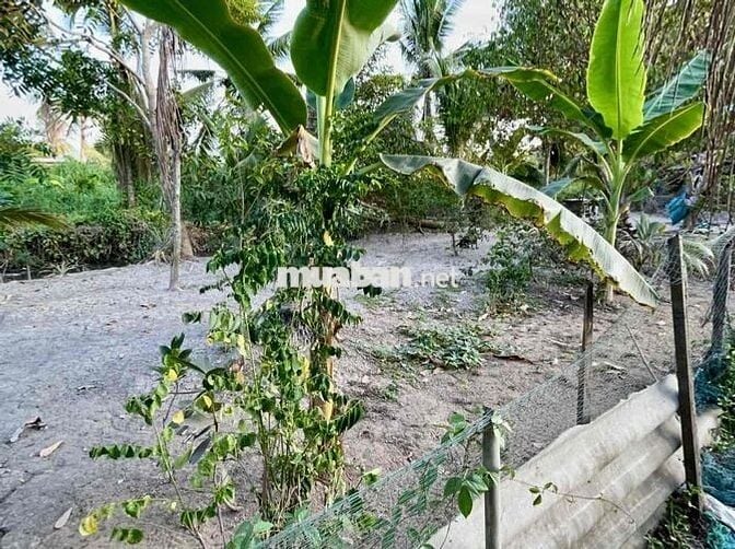 Cần bán đất vườn trồng cây lâu năm – vị trí đẹp tại Mỹ Tho 🌱 👉 Diện t