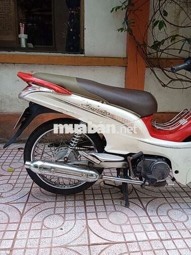 ELEGANT 50 HỌC SINH KHÔNG CẦN BẰNG LÁI. NK TAIWAN.