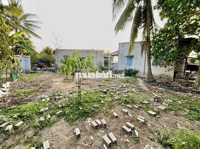 Cần bán đất vườn trồng cây lâu năm – vị trí đẹp tại Mỹ Tho 🌱 👉 Diện t