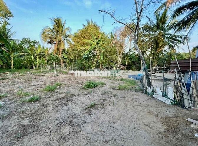 Cần bán đất vườn trồng cây lâu năm – vị trí đẹp tại Mỹ Tho 🌱 👉 Diện t