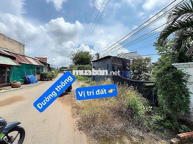 Đất biệt thự giá rẻ Hoà Long Quốc Lộ 56