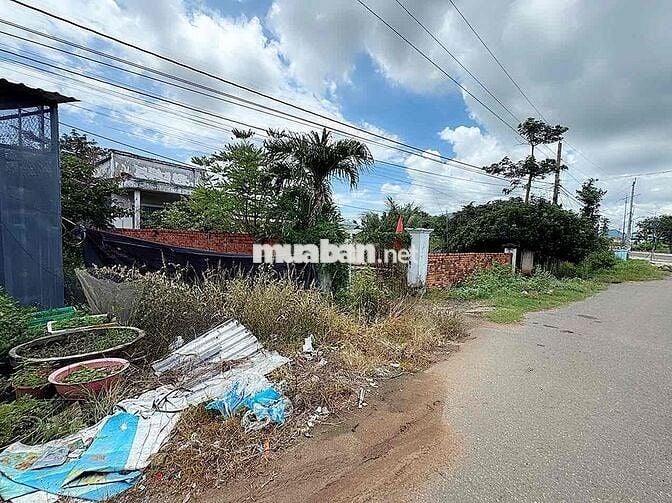 Đất biệt thự giá rẻ Hoà Long Quốc Lộ 56