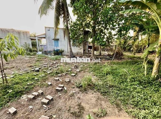 Cần bán đất vườn trồng cây lâu năm – vị trí đẹp tại Mỹ Tho 🌱 👉 Diện t
