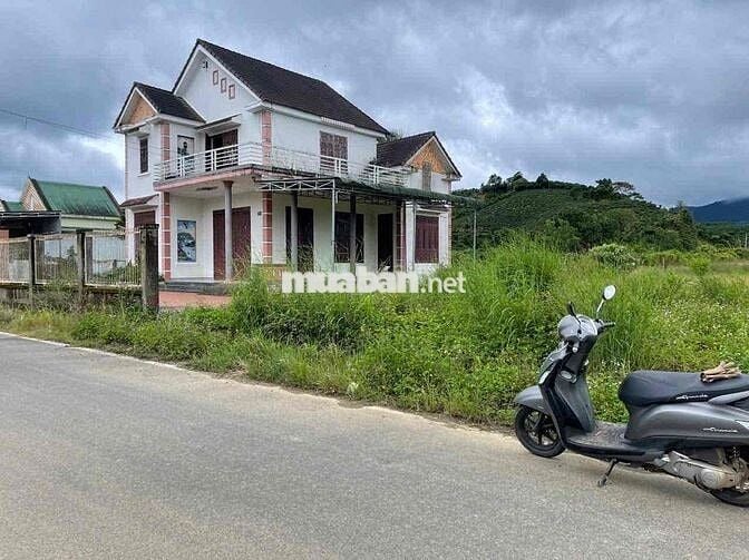 Mặt tiền Blao Xere Đại Lào - Bảo Lộc - DT532 (13.3x40) sẵn 400 thổ cư