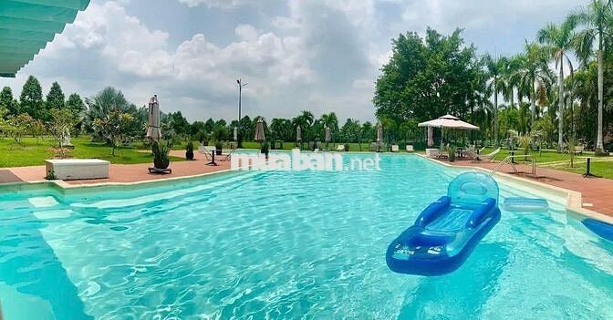 [ ĐẤT BIỆT THỰ CỦ CHI ] 10m x 43m -ĐỐI DIỆN LÀNG DU LỊCH - 3,5 TỶ