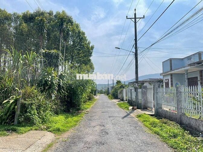 NHÀ SÂN VƯỜN BẢO LỘC - ĐƯỜNG NGÔ TẤT TỐ - DT: 560M2 (10MX56M) - 100 TC
