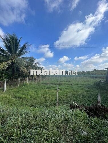Bán rẻ đất full thổ cư mặt tiền 10m đường lớn (ĐH 173 cũ)
