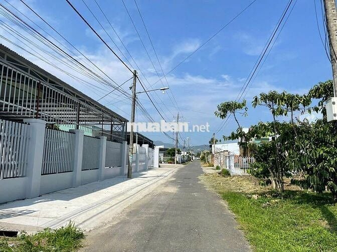 NHÀ SÂN VƯỜN BẢO LỘC - ĐƯỜNG NGÔ TẤT TỐ - DT: 560M2 (10MX56M) - 100 TC