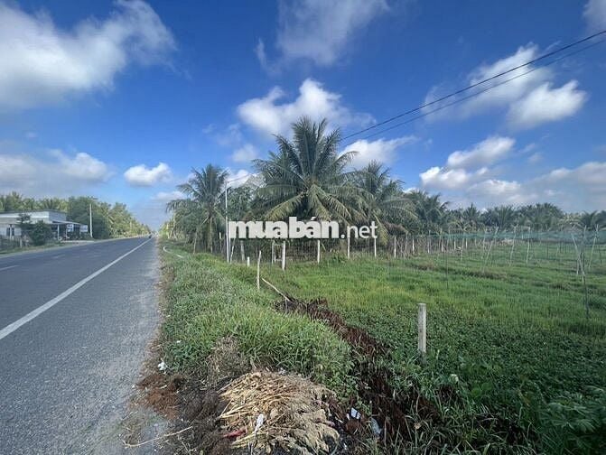 Bán rẻ đất full thổ cư mặt tiền 10m đường lớn (ĐH 173 cũ)