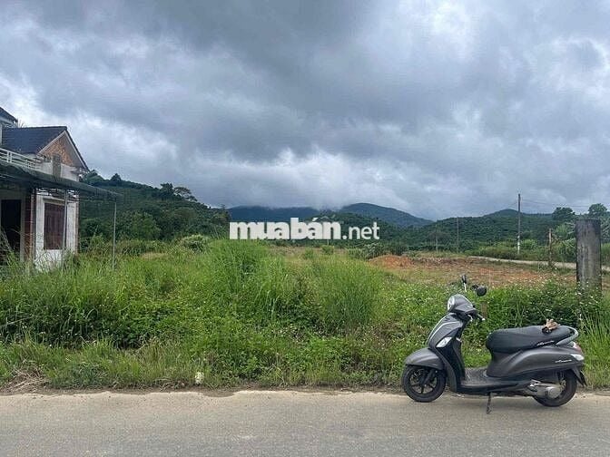Mặt tiền Blao Xere Đại Lào - Bảo Lộc - DT532 (13.3x40) sẵn 400 thổ cư