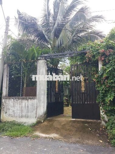 ĐẤT FULL THỔ CƯ chính chủ - Phước Hậu, Cần Giuộc, Long An