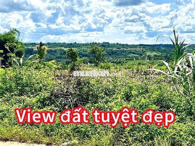 Ea Siên- Buôn Hồ- Daklak. Đường QH 27M