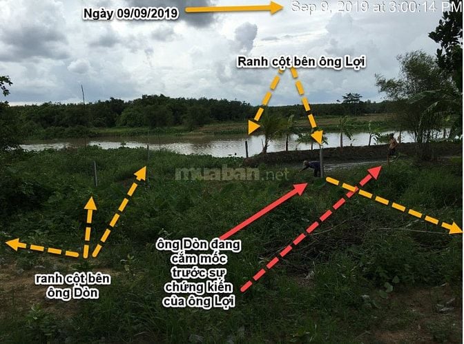 Nhà-đất bờ sông Sài Gòn, 753 m2, ngang 20 m, giá 1,5 tỷ