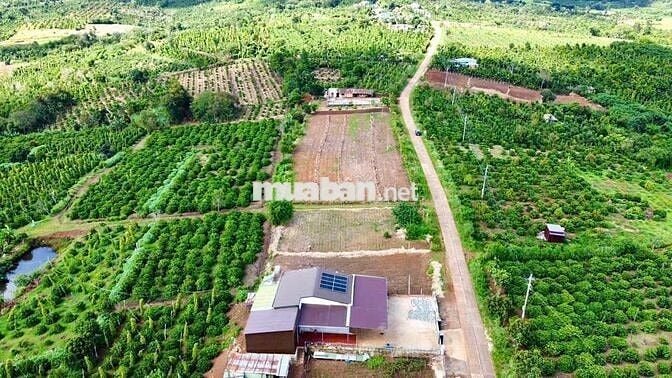 Ea Siên- Buôn Hồ- Daklak. Đường QH 27M