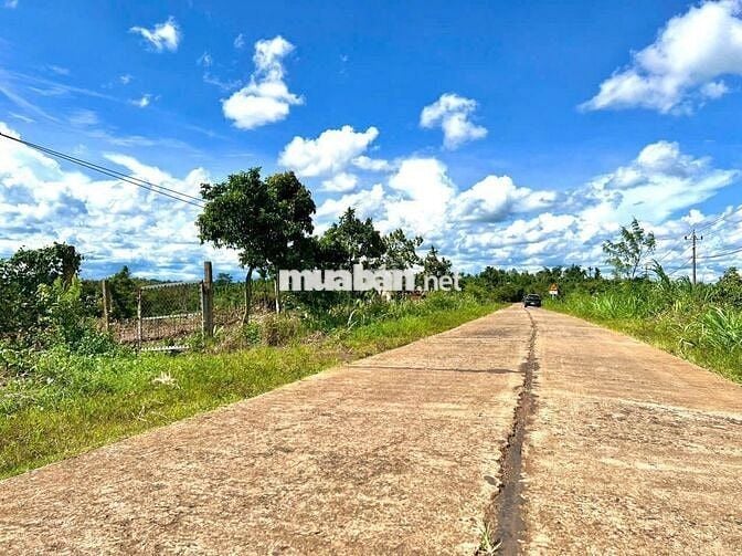 Ea Siên- Buôn Hồ- Daklak. Đường QH 27M