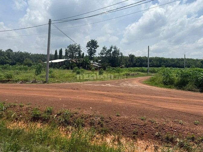 Bán gấp 1199m2 (30 x40) đất thổ cư thành phố giá 580tr.