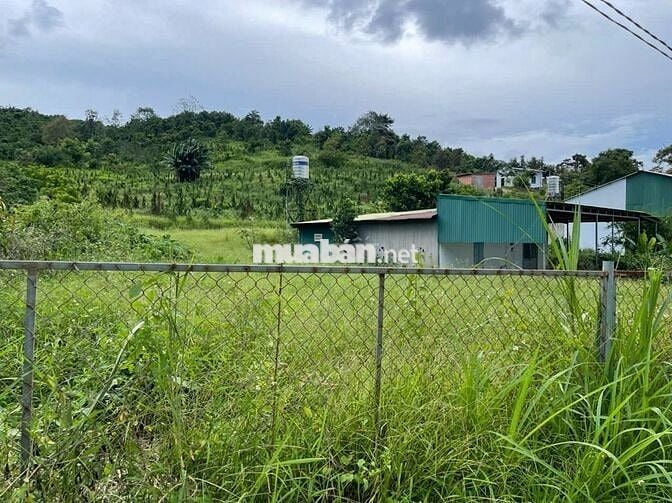 4031m2 - 35m mặt đường Thôn 16 Lộc Thành - Bảo Lâm ngay ĐồI Mây