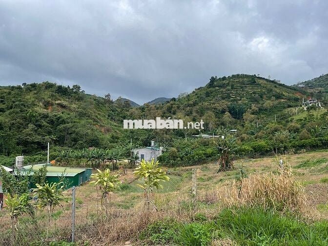 4031m2 - 35m mặt đường Thôn 16 Lộc Thành - Bảo Lâm ngay ĐồI Mây
