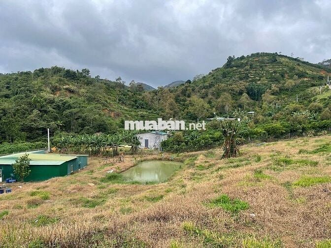 4031m2 - 35m mặt đường Thôn 16 Lộc Thành - Bảo Lâm ngay ĐồI Mây