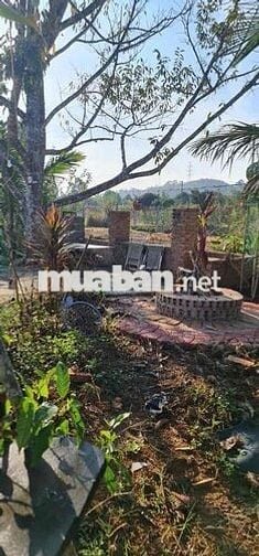 chính chủ cần bán gấp lô đất 2000m2 đã đầu tư thành homestay