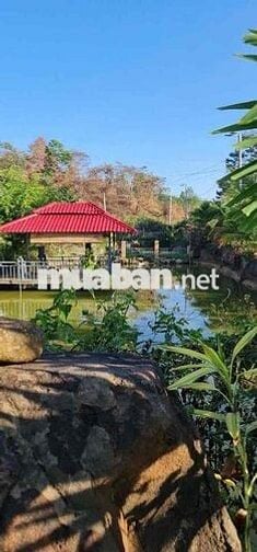 chính chủ cần bán gấp lô đất 2000m2 đã đầu tư thành homestay
