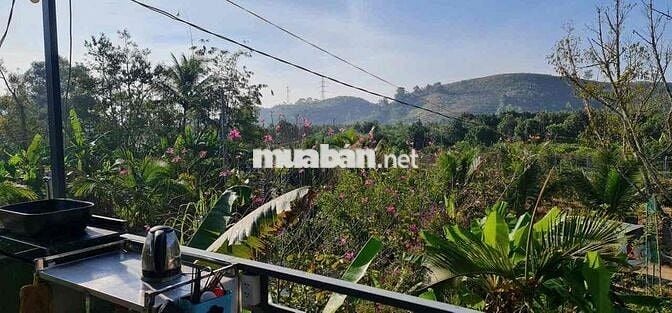 chính chủ cần bán gấp lô đất 2000m2 đã đầu tư thành homestay