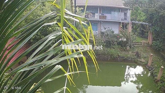 chính chủ cần bán gấp lô đất 2000m2 đã đầu tư thành homestay