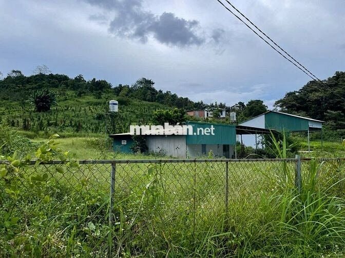 4031m2 - 35m mặt đường Thôn 16 Lộc Thành - Bảo Lâm ngay ĐồI Mây